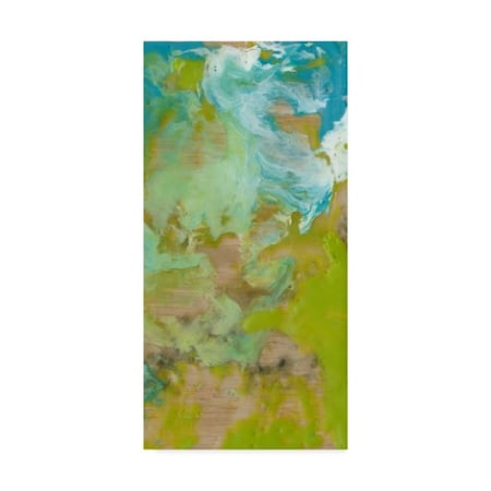 Jennifer Goldberger 'Amorphous Ii' Canvas Art,16x32